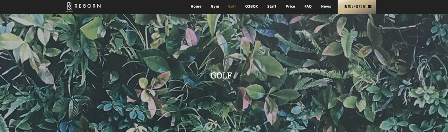 REBORN GOLF